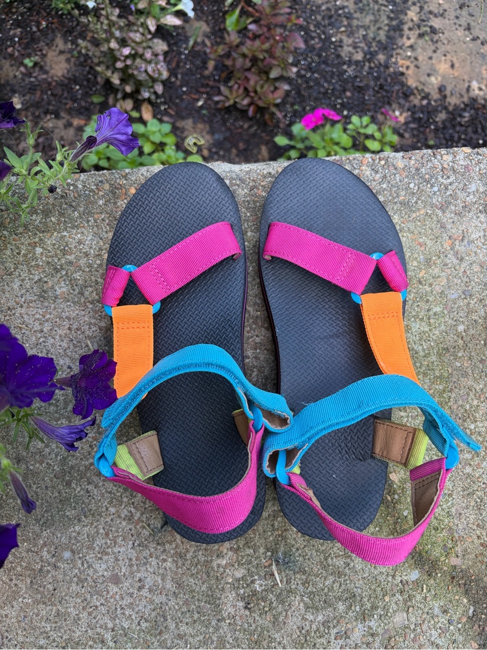 wild fable Multicolor Strap Sandals in Pink, Orange & Blue